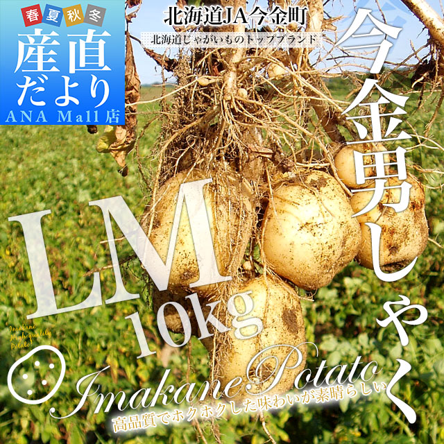 北海道産 JA今金町 じゃがいも 今金男爵 LMサイズ 約10キロ(90玉前後入り) 送料無料 馬鈴薯 ジャガイモ 芋 男爵芋 送料無料(離島などの一部地域を除く)