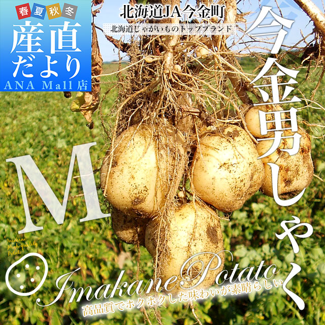 北海道産 JA今金町 じゃがいも 今金男爵 Mサイズ 約10キロ(110玉前後入り) 送料無料 馬鈴薯 ジャガイモ 芋 男爵芋 送料無料(離島などの一部地域を除く)