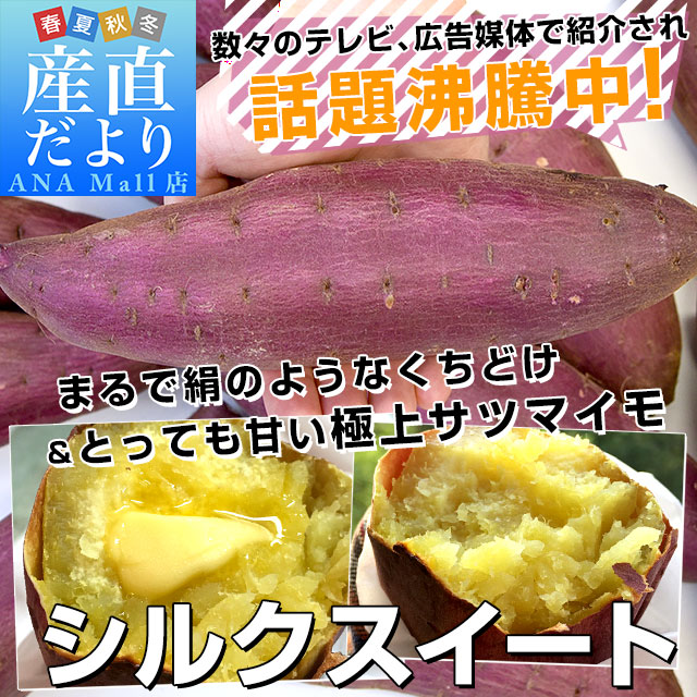 千葉県産 JAかとり シルクスイート Lサイズ2.5キロ 7本前後 送料無料 さつまいも サツマイモ 薩摩芋 新芋 市場発送 送料無料(離島などの一部地域を除く)