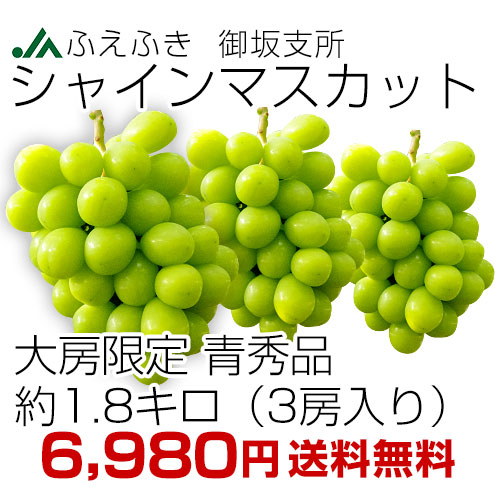 㥤ޥå