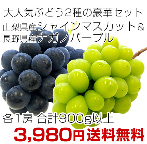 㥤ޥåȡʥΥѡץ