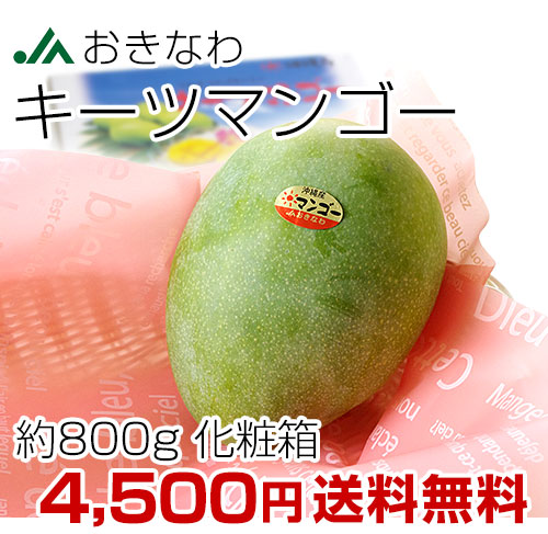 ʥĥޥ󥴡