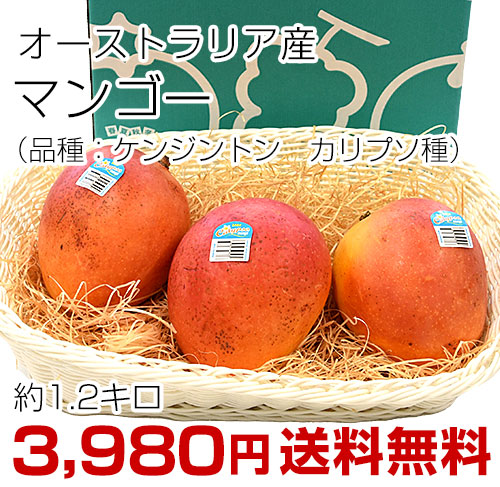 �������ȥ�ꥢ �ޥ󥴡�1.2����