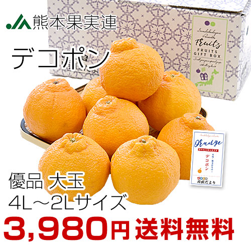 ���ܥǥ��ݥ�2.5��