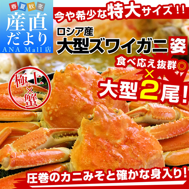 北海道より直送 高級ズワイガニ姿 大型サイズ 約1.5キロ(2尾入り)送料無料(離島などの一部地域を除く) ズワイ カニ かに 蟹 ギフト カニみそ