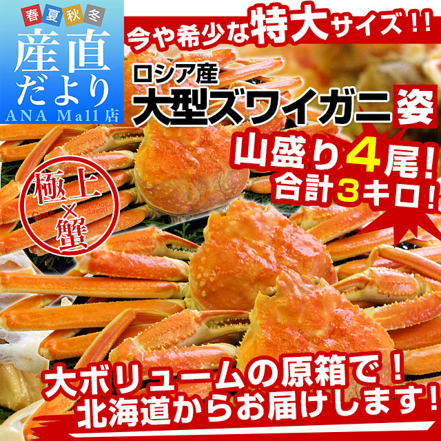 北海道より直送 高級ズワイガニ姿 大型サイズ 山盛り 合計3キロ(4尾入り)送料無料(離島などの一部地域を除く) ズワイ カニ かに 蟹 カニみそ
