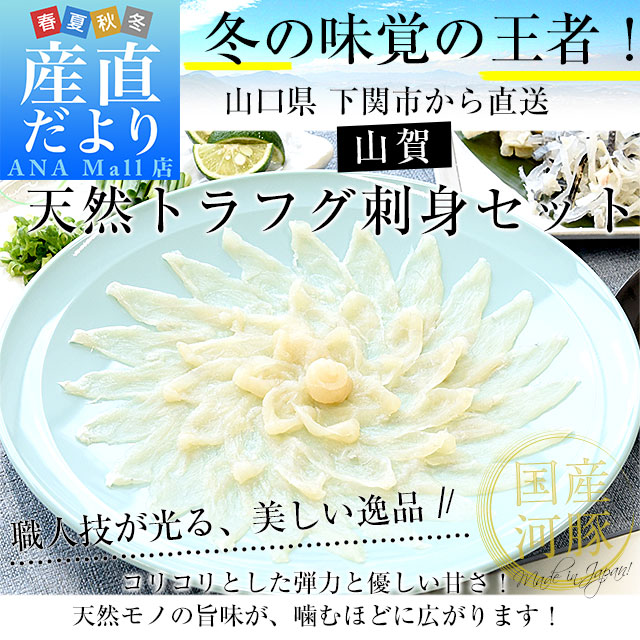 山口県下関市から直送 山賀 天然トラフグ刺身セット(刺身、皮刺し、ポン酢、もみじおろし)送料無料(離島などの一部地域を除く) 河豚 ふぐ とらふぐ てっさ ※クール冷凍便