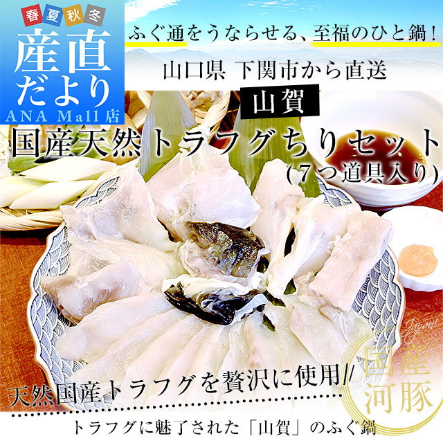 山口県下関市から産地直送 山賀 トラフグちり鍋セット(7つ道具入り) 国産天然トラフグちり(約400g) 送料無料(離島などの一部地域を除く) ふぐ ※クール冷凍便