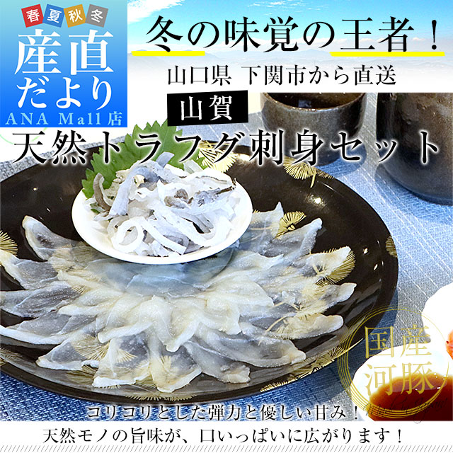 山口県下関市から直送 山賀 天然トラフグ刺身セット(刺身50g、皮刺し30g、ポン酢、もみじおろし)送料無料(離島などの一部地域を除く) 河豚 ふぐ とらふぐ てっさ ※クール冷凍便