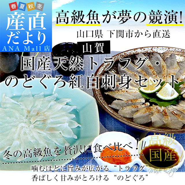 山口県下関市から直送 山賀 国産天然トラフグ・のどぐろ紅白刺身セット(トラフグ刺身、のどぐろ炙り刺身、ポン酢、もみじおろし) 送料無料(離島などの一部地域を除く) ふぐ ノドグロ ※クール冷凍便