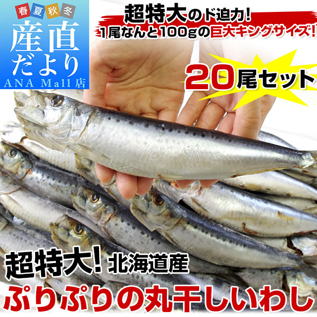 北海道産 超特大いわし丸干し 巨大キングサイズ 20尾セット 2キロ (1尾100g以上×20尾) 送料無料(離島などの一部地域を除く) ※クール冷凍便
