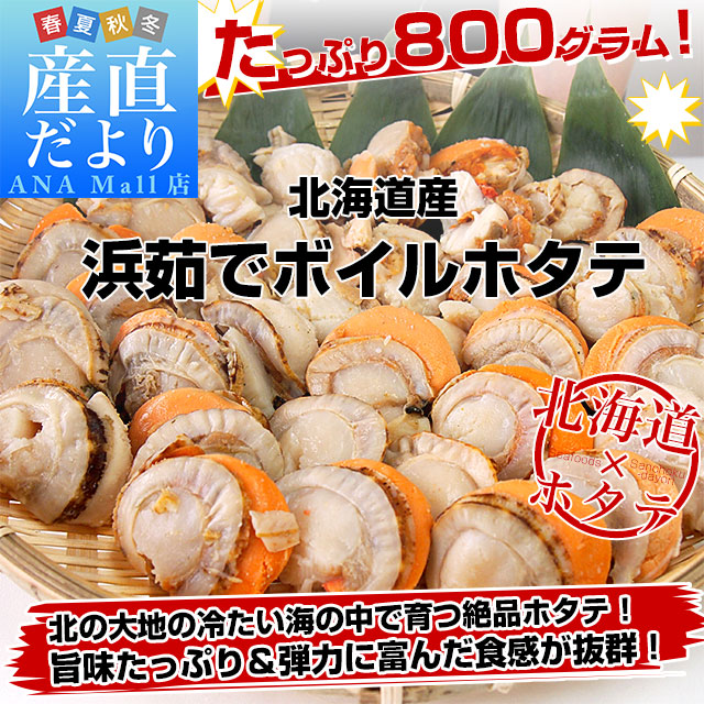 北海道より直送 北海道産 ボイルホタテ 約800g 帆立 ほたて送料無料(離島などの一部地域を除く)