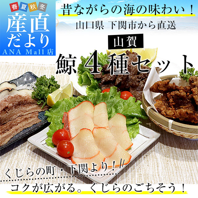 山口県下関市から産地直送 山賀 鯨4種セット(A) くじら 鯨ベーコン 鯨タン 鯨焼肉 鯨竜田揚げ 送料無料 (離島などの一部地域を除く) ※クール冷凍便