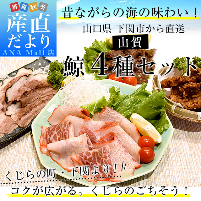 山口県より直送 山賀 鯨4種セット(B) くじら 鯨ベーコン 鯨タン 鯨焼肉 鯨竜田揚げ 送料無料(離島などの一部地域を除く) ※クール冷凍便