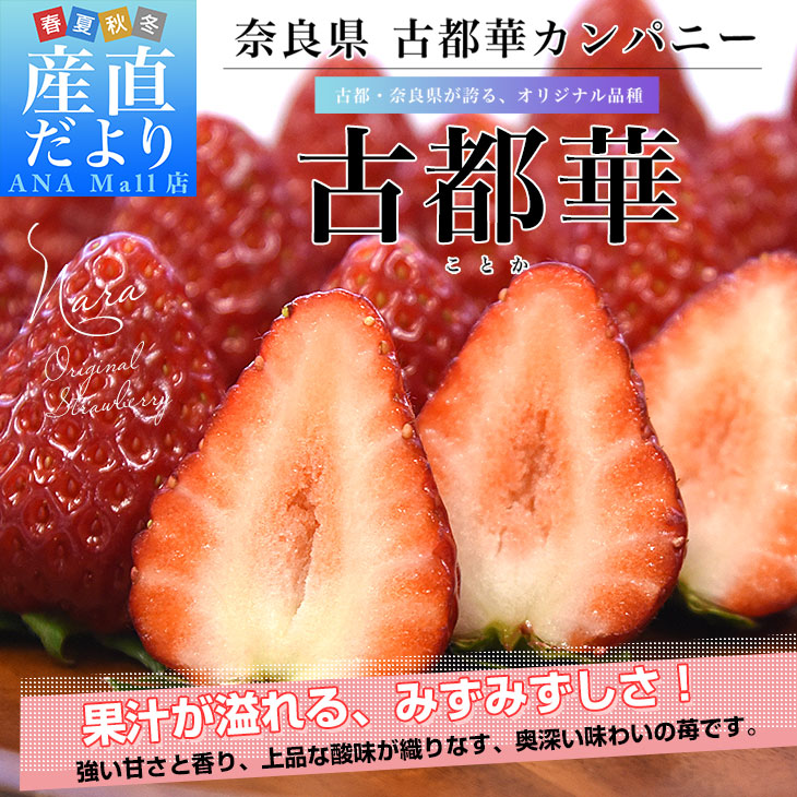 奈良県 古都華カンパニー 古都華（ことか） Lサイズ 合計約540g（270g×2パック）合計30粒前後 送料無料（離島などの一部地域を除く） いちご 苺 奈良いちご