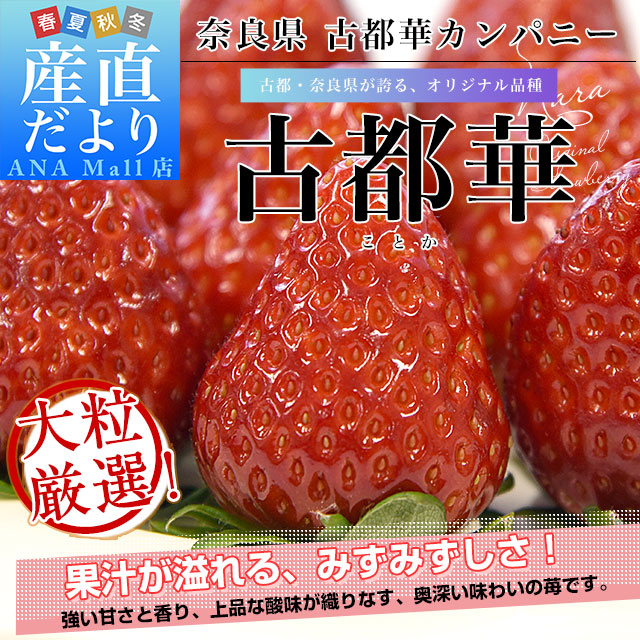 奈良県 古都華カンパニー 古都華(ことか) 化粧箱 約550g (11粒から15粒前後) 送料無料(離島などの一部地域を除く) いちご 苺 奈良いちご