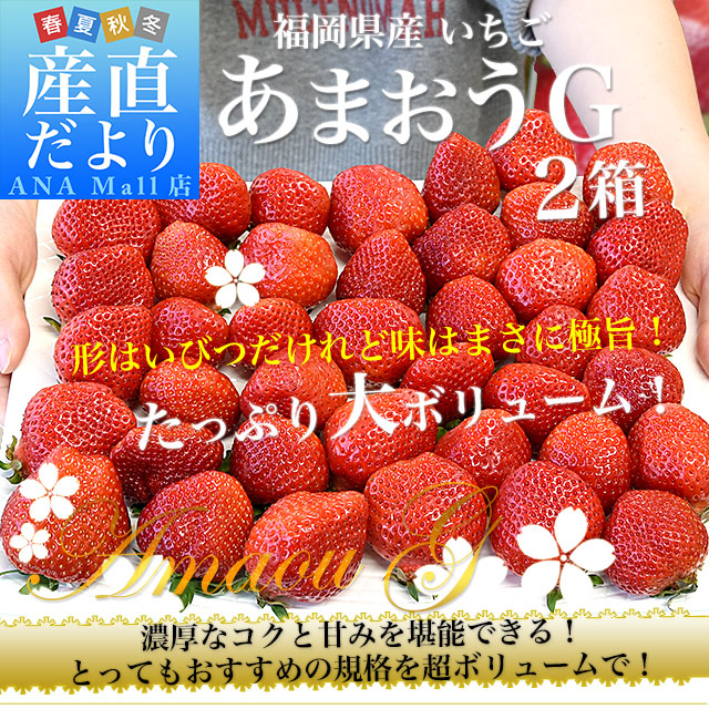 福岡県産 超盛りあまおう G たっぷり2箱 合計1キロ以上（約270g×4入り）計16粒から48粒 送料無料(離島などの一部地域を除く) アマオウ いちご 苺 イチゴ スポット