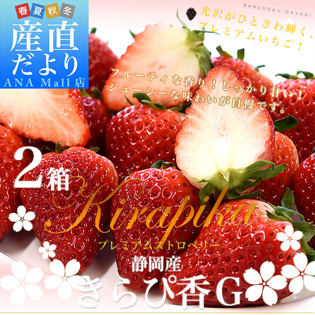 静岡県産 プレミアムいちご 超盛りきらぴ香 G たっぷり2箱 合計1キロ以上（約260g×4入り）計20粒から48粒入り 送料無料(離島などの一部地域を除く) 苺 イチゴ