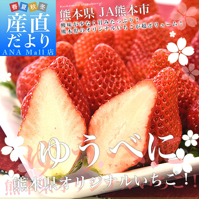 熊本県産 JA熊本市 超盛りゆうべに 秀品 たっぷり2箱 合計 約1キロ（約250g×4入り）計28粒から44粒 送料無料(離島などの一部地域を除く) いちご 苺 イチゴ