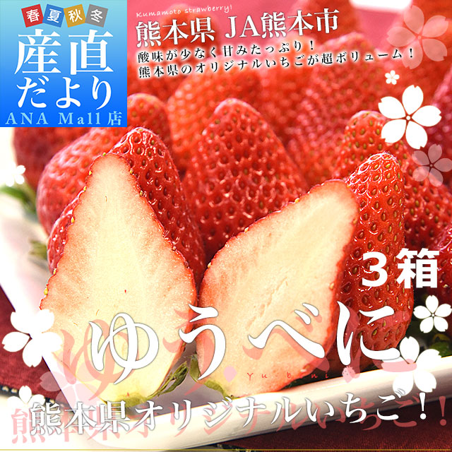 熊本県産 JA熊本市 超盛りゆうべに 秀品 たっぷり3箱 合計 約1.5キロ（約250g×6入り）計42粒から77粒 送料無料(離島などの一部地域を除く) いちご 苺 イチゴ