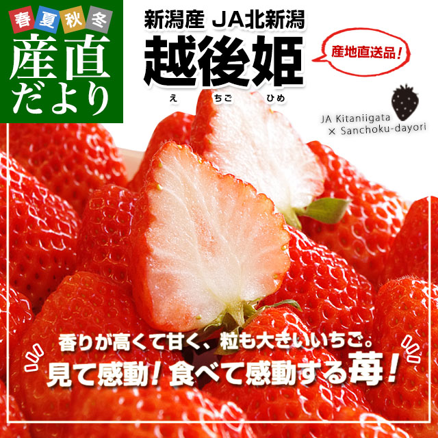 �۸�ɱ1�ѥå�