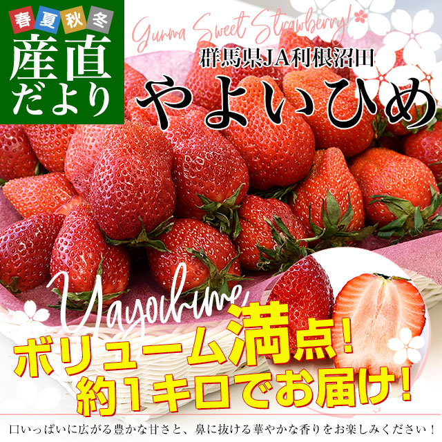 褤Ҥ