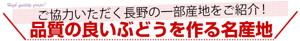 産地紹介 長野