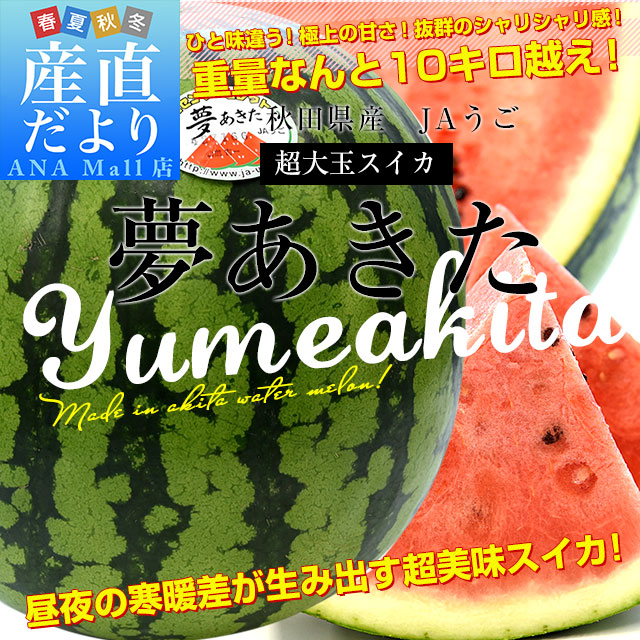 秋田県産JAうご 大玉スイカ 夢あきた A品 5Lサイズ 10
