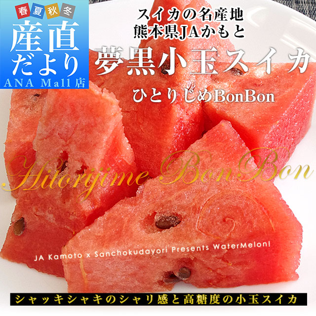 ONE BY KOSE セラム シールド 40g│AINZ&TULPE WEBSTORE